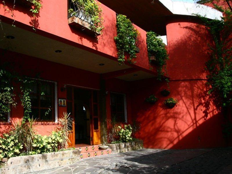 Hotel Arbol De Fuego San Salvador Zewnętrze zdjęcie