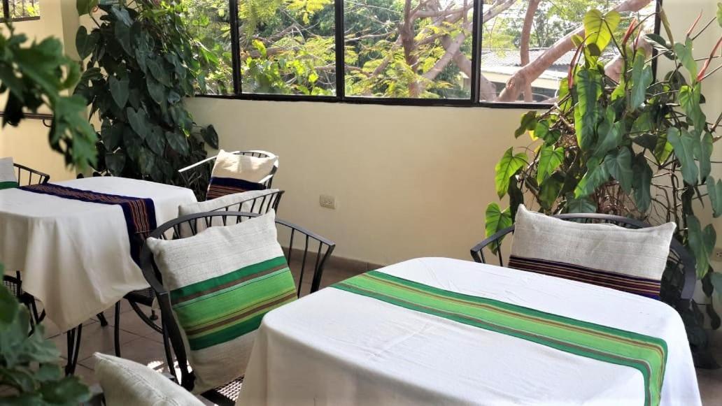 Hotel Arbol De Fuego San Salvador Zewnętrze zdjęcie
