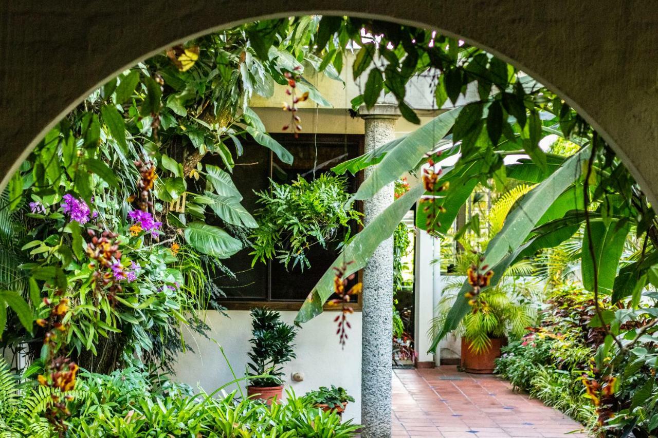 Hotel Arbol De Fuego San Salvador Zewnętrze zdjęcie