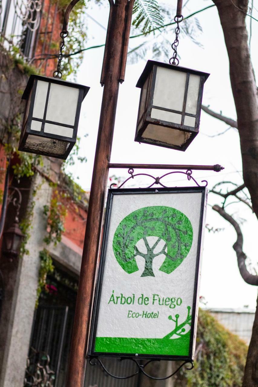 Hotel Arbol De Fuego San Salvador Zewnętrze zdjęcie