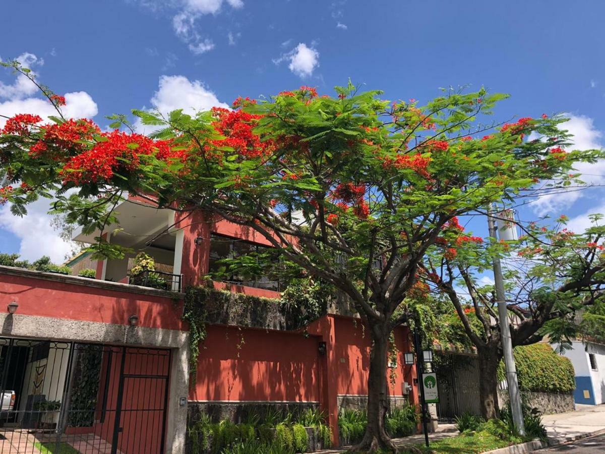 Hotel Arbol De Fuego San Salvador Zewnętrze zdjęcie